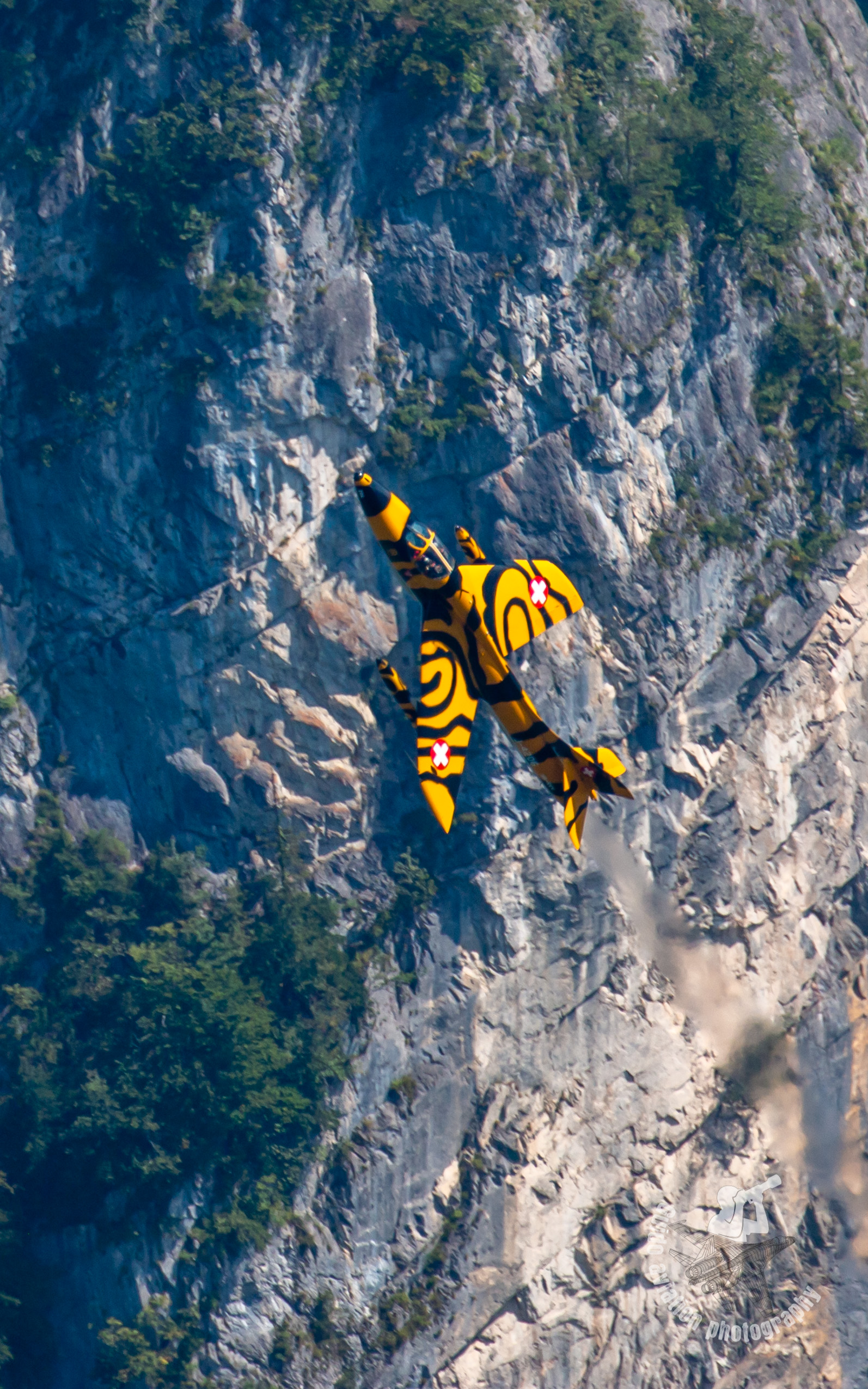 Mollis 25hunter 2021 3