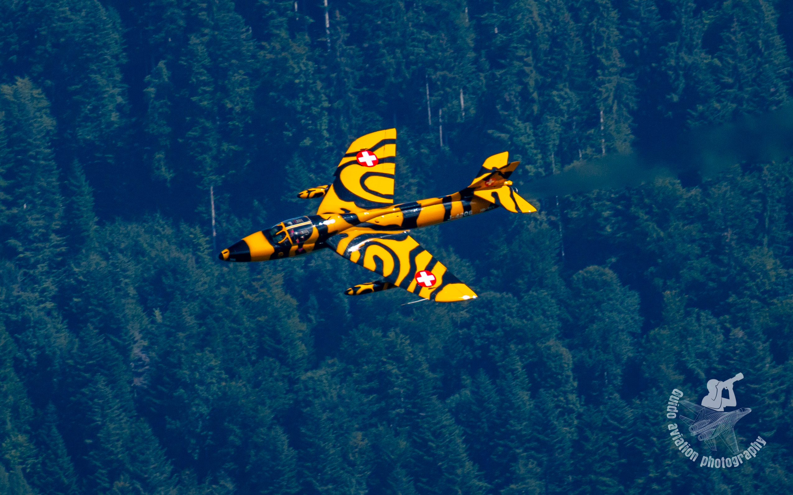 Mollis 25hunter 2021 5