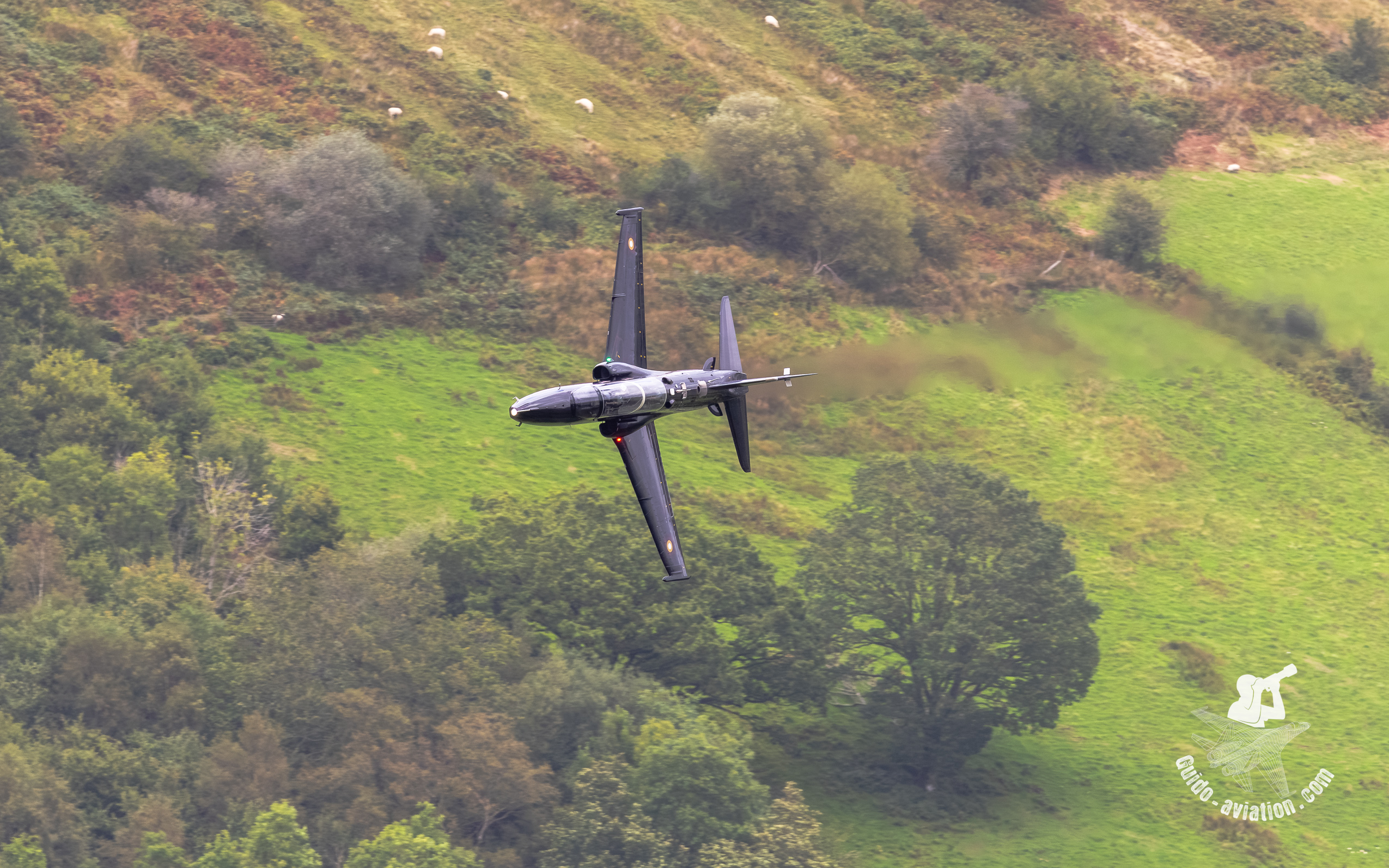 Machloop sept 2026 41